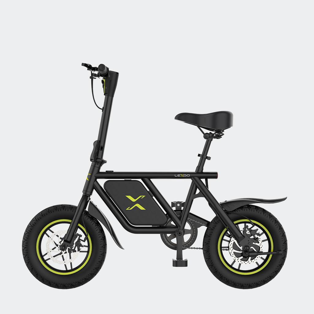 E-MICRO 30